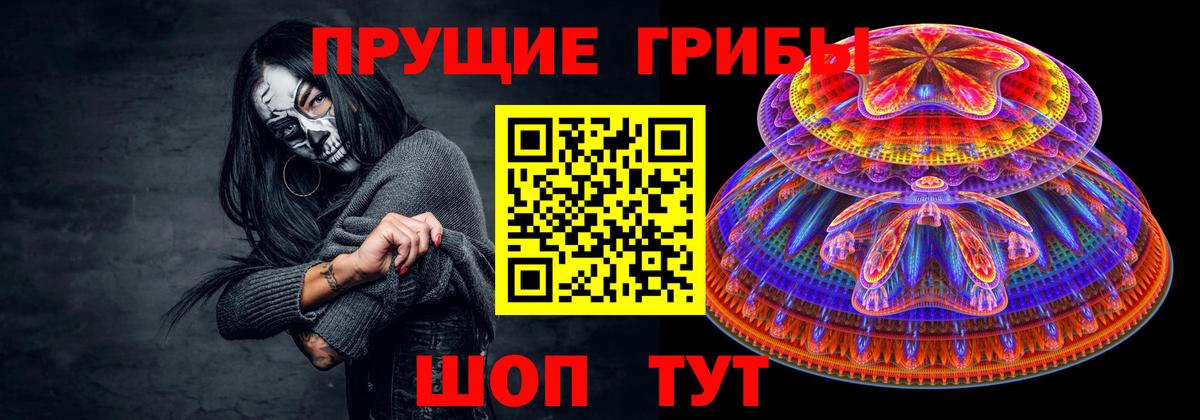 где продают   Вход с VPN  Гулькевичи  Галлюциногенные грибы Cubensis 